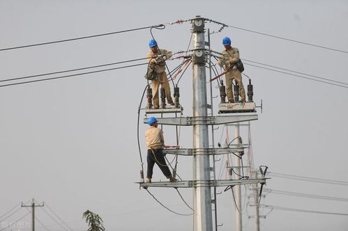 線路避雷器 基本原理、關(guān)鍵技術(shù)要求與電力工程應(yīng)用詳解